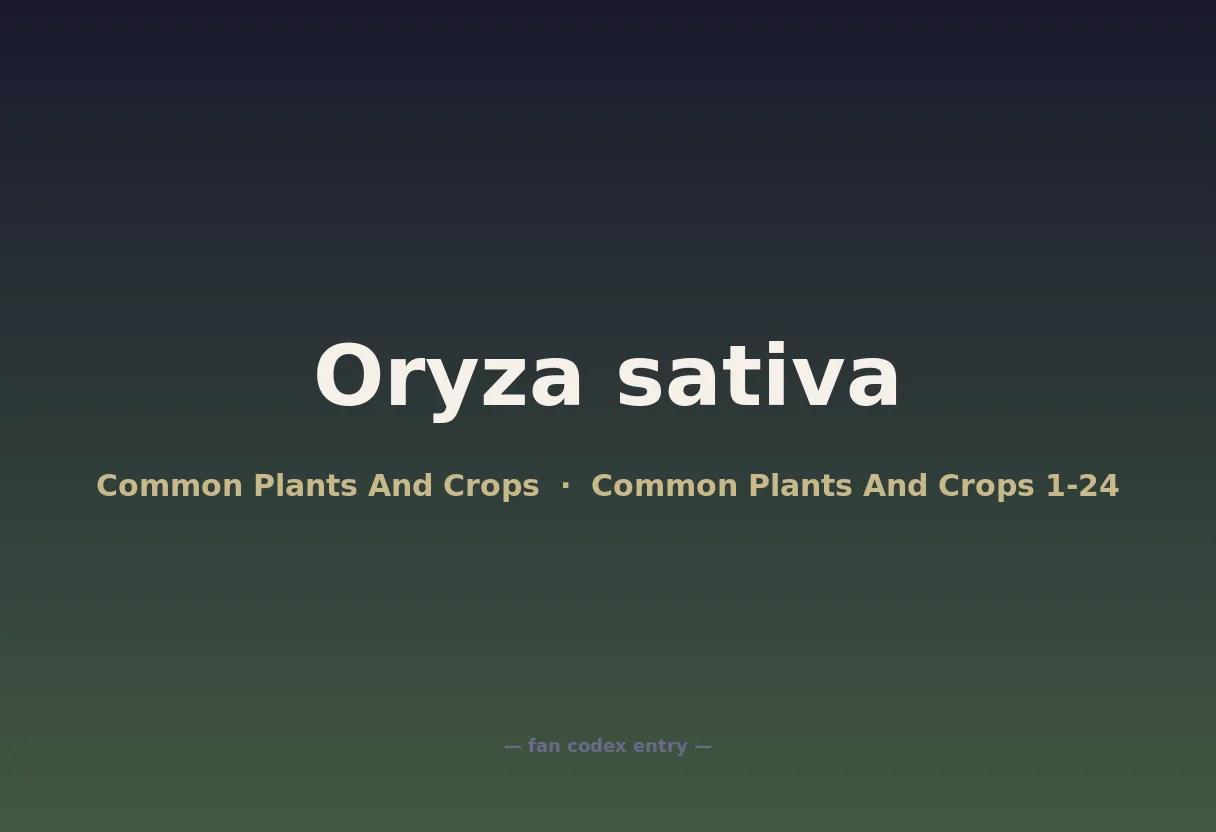 Oryza sativa
