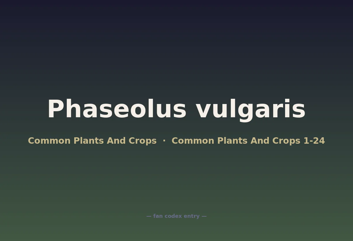 Phaseolus vulgaris