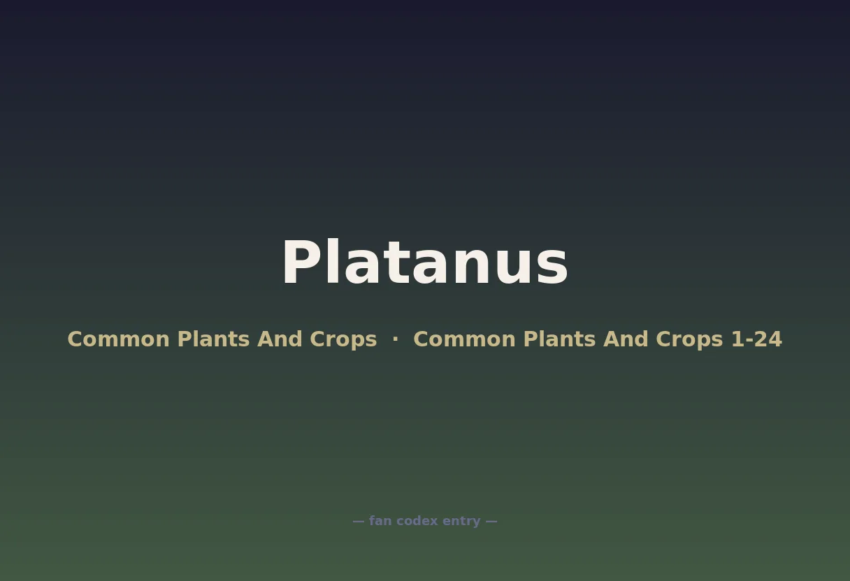 Platanus