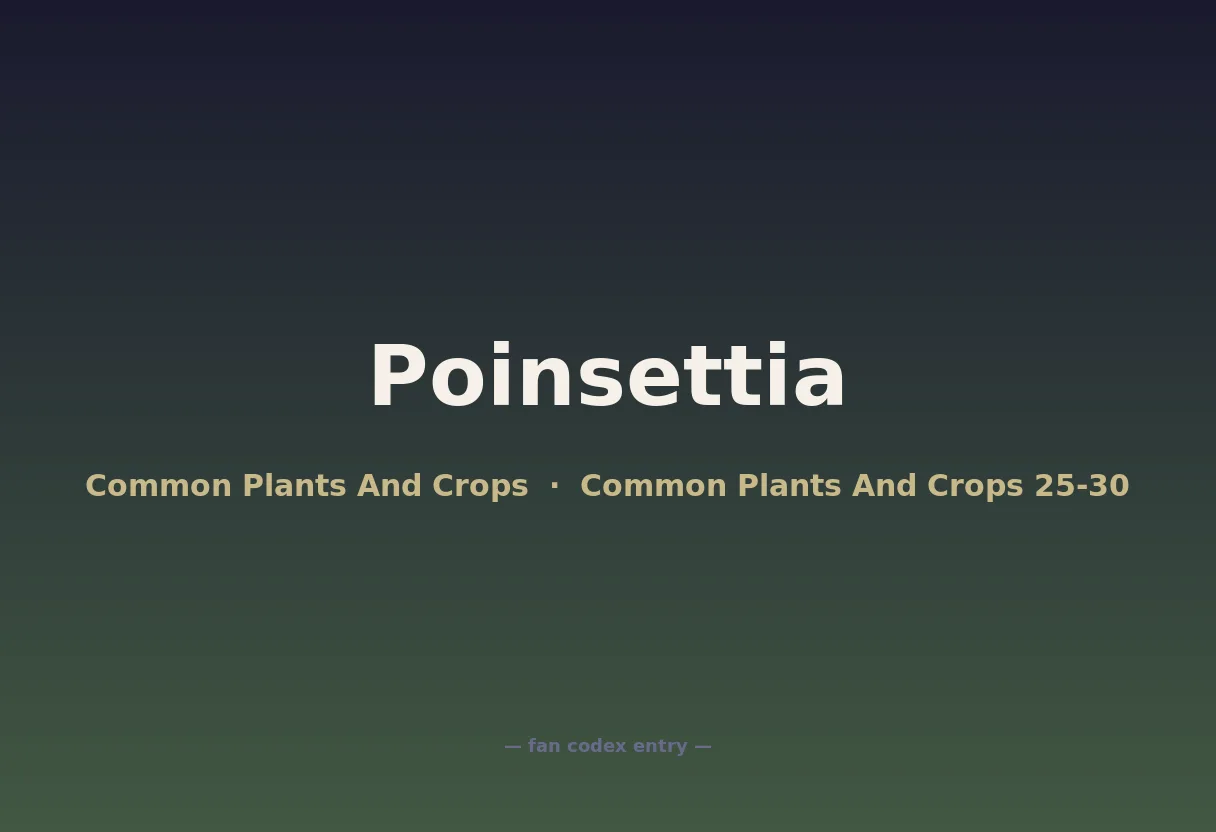 Poinsettia